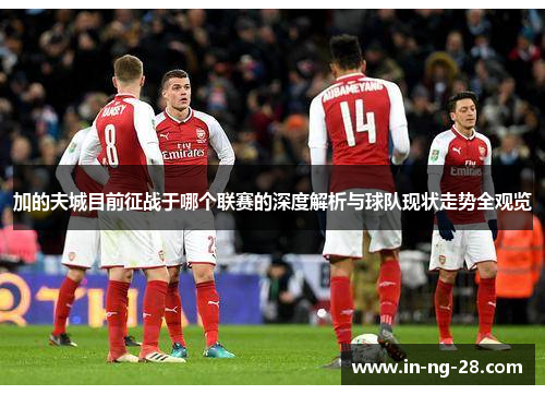 加的夫城目前征战于哪个联赛的深度解析与球队现状走势全观览 加的夫城目前征战于哪个联赛的深度解析与球队现状走势全观览