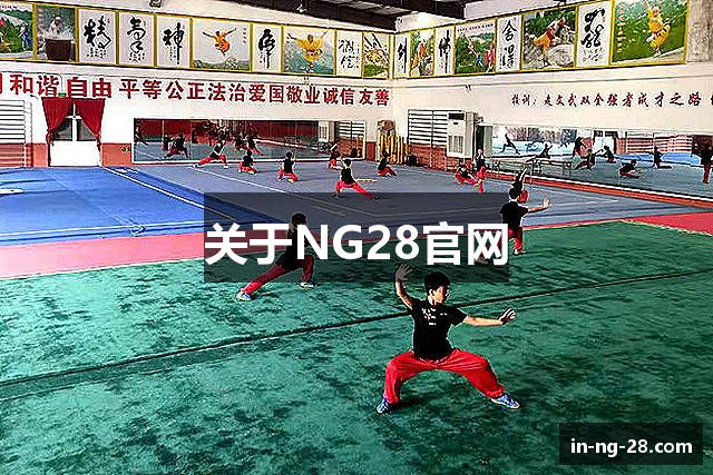 关于NG28官网